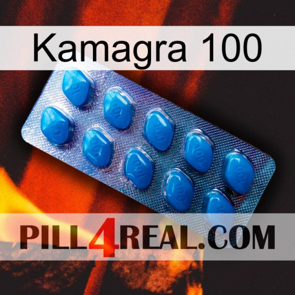 Kamagra 100 viagra1.jpg